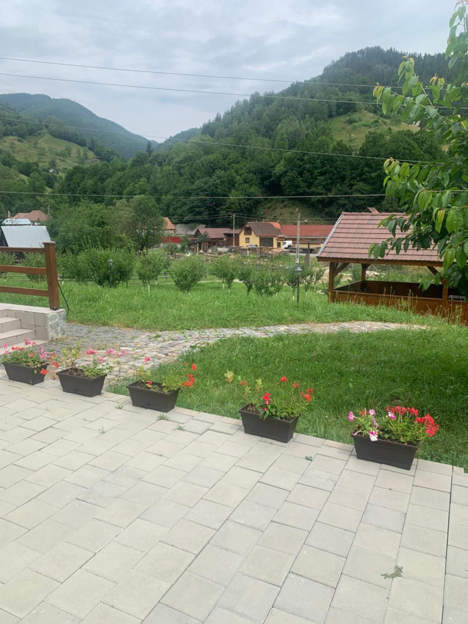 Pensiunea Valea Pinului Rau Sadului المظهر الخارجي الصورة